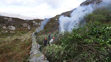 Saving the Celtic Rainforests