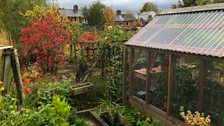 Wartime allotments