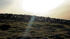 Limestone landscape