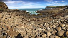 Petrified forest, Curio Bay, New Zealand