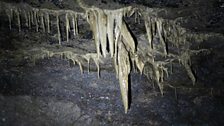 Stalagmites