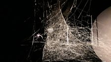 Tomás Saraceno's spider web sculpture