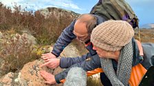 Rock hunting on Loch Ness side