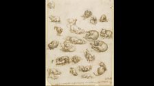 Leonardo da Vinci, Cats, lions and a dragon