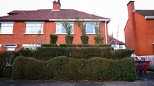 Titanic topiary