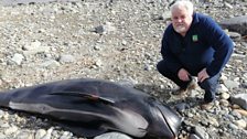 Morfil Pilot ger aber yr Afon Dwyfor, Cricieth - Barry Davies.