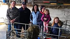 Behind the scenes at the Glastry lambing shed