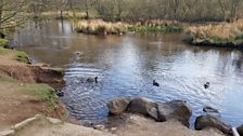 Haddo Country Park