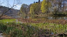 Fyvie Loch