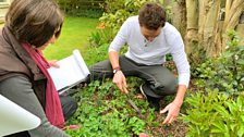 Hunting out the wild garlic