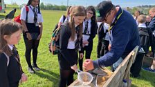 and sieving grains