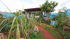 The CAMFED garden, Gold medal winner