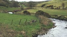 Ballypatrick Mill House