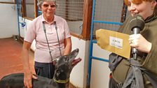 Dippy the greyhound had clue three hidden on his kennel at Hainford