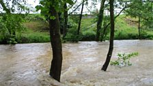 Yr Afon Elwy wedi'r glaw - Tudur Aled Llanelwy.