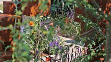 The Lower Barn Farm Outdoor Living Garden, designed by Robert Grimstead - Silver-gilt medal