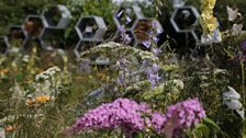 The Urban Pollinator Garden, designed by Caitlin McLaughlin - Silver-gilt medal