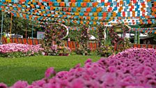 A glorious RHS welcome to Hampton Court 2019