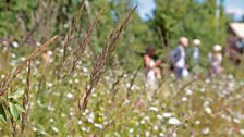 The RHS Back to Nature Garden, designed by HRH The Duchess of Cambridge with Andrée Davies and Adam White