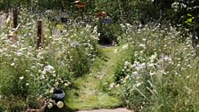 The 鶹ҳ Springwatch Garden, designed by Jo Thompson