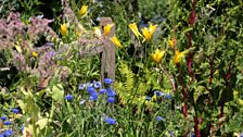 The Wild Garden, designed by Rossana Porta