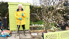 “Dropped off at the allotment in her civic regalia, she emerged from the potting shed in full gardening gear.”