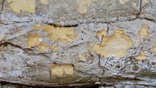 Close up of Kamukuwaka sacred rock engravings after systematic destruction by an unknown assailant.