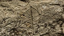 Close up of Kamukuwaka sacred rock engravings before destruction.