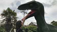 Careful Julie! It looks like she was recreating Jurassic Park in Mundesley