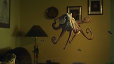 The Octopus In My House