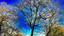 Alder Hey Park by Stan Conroy