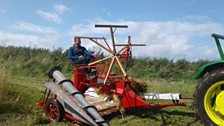 Cutting Corn