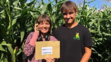 The treasure was hidden in the maize maze at Fundenhall