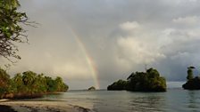 There were pygmy sloths at the end of the rainbow!