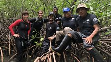 ZSL's Pygmy Sloth team