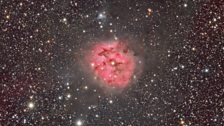 IC 5146 Cocoon Nebula - David Wills: