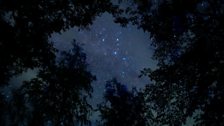 In a forest, Cassiopeia - SNCT Astro: