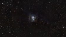 Iris Nebula (NGC 7023) - Davide Simonetti: