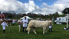 Fermanagh County Show