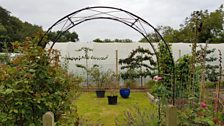 The archway into John's allotment