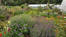 John and Sheila-Jane's cottage garden style allotment