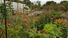 Plenty of early Autumn colour