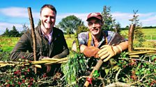 David Thompson with David M at a hawthorn in Greyabbey