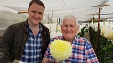 Herbie McCauley and his incredible Chrysanthemums