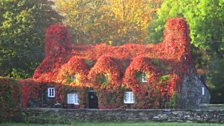 Tu hwnt i'r bont, Llanrwst