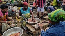 Fish sellers of Jamestown, Ghana