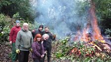 Bonfire of laurel at Saintfield