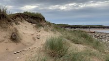 Breathing new life into Dunes