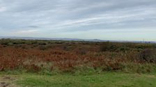 Looking across Kenfig Nature Reserve towards Port Talbot and Swansea