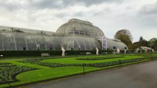 Kew Gardens